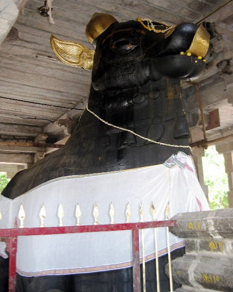 Thiruvaduthurai Nandhi